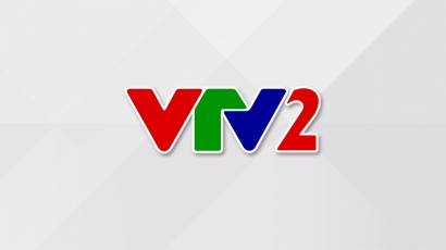 VTV2 Logo