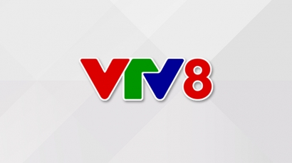 VTV8 Logo
